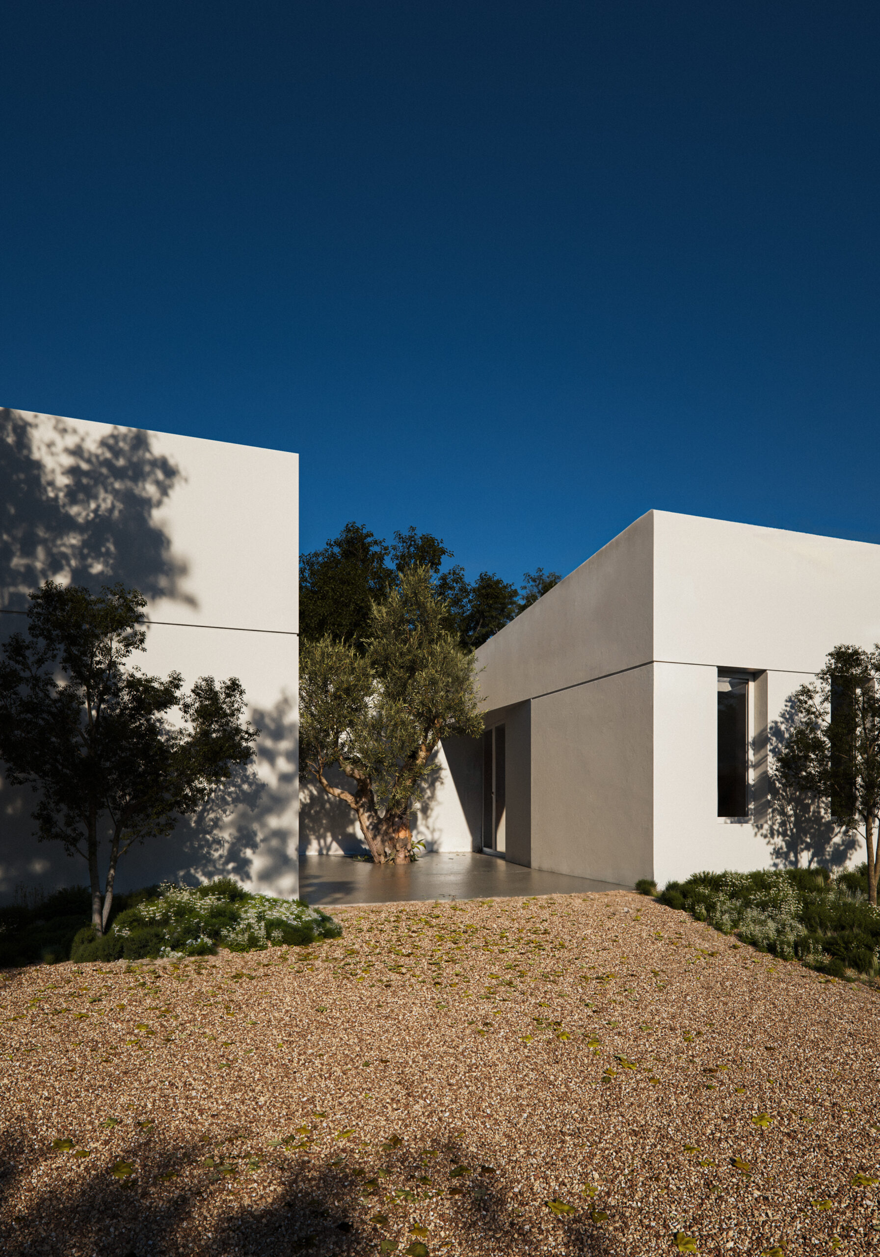 Vista exterior del hotel para mascotas - Hotel Canino y Felino - Rubén Muedra Arquitectura - Museros, Valencia